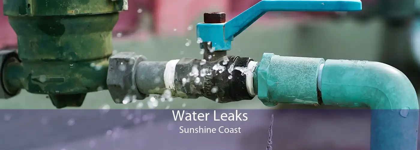 Water Leaks Sunshine Coast