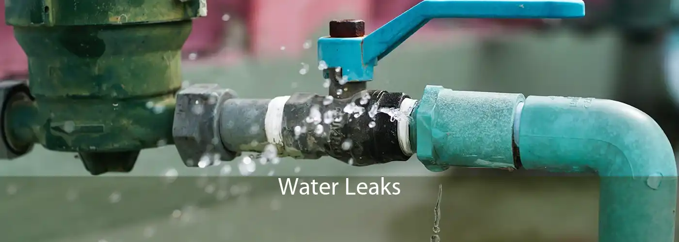 Water Leaks 